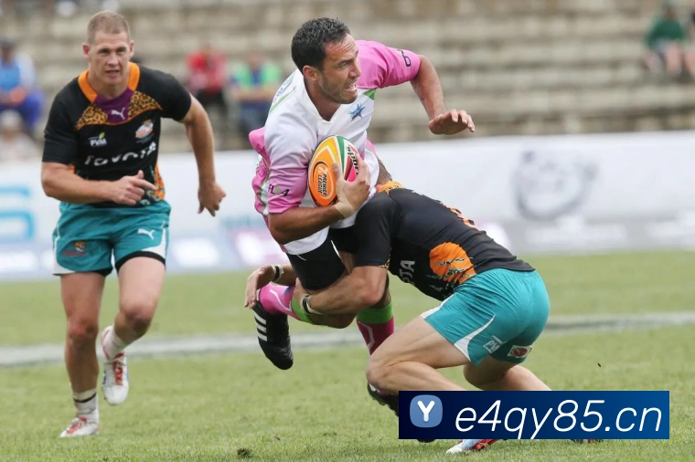 星空手机官方网站品牌故事