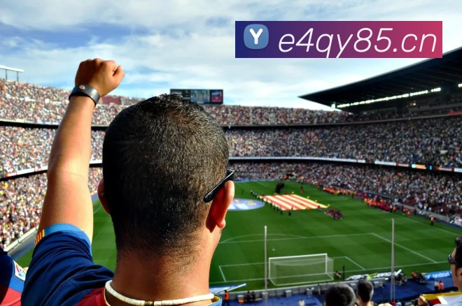 星空手机官方网站服务体系